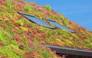 Weardley living roof systems